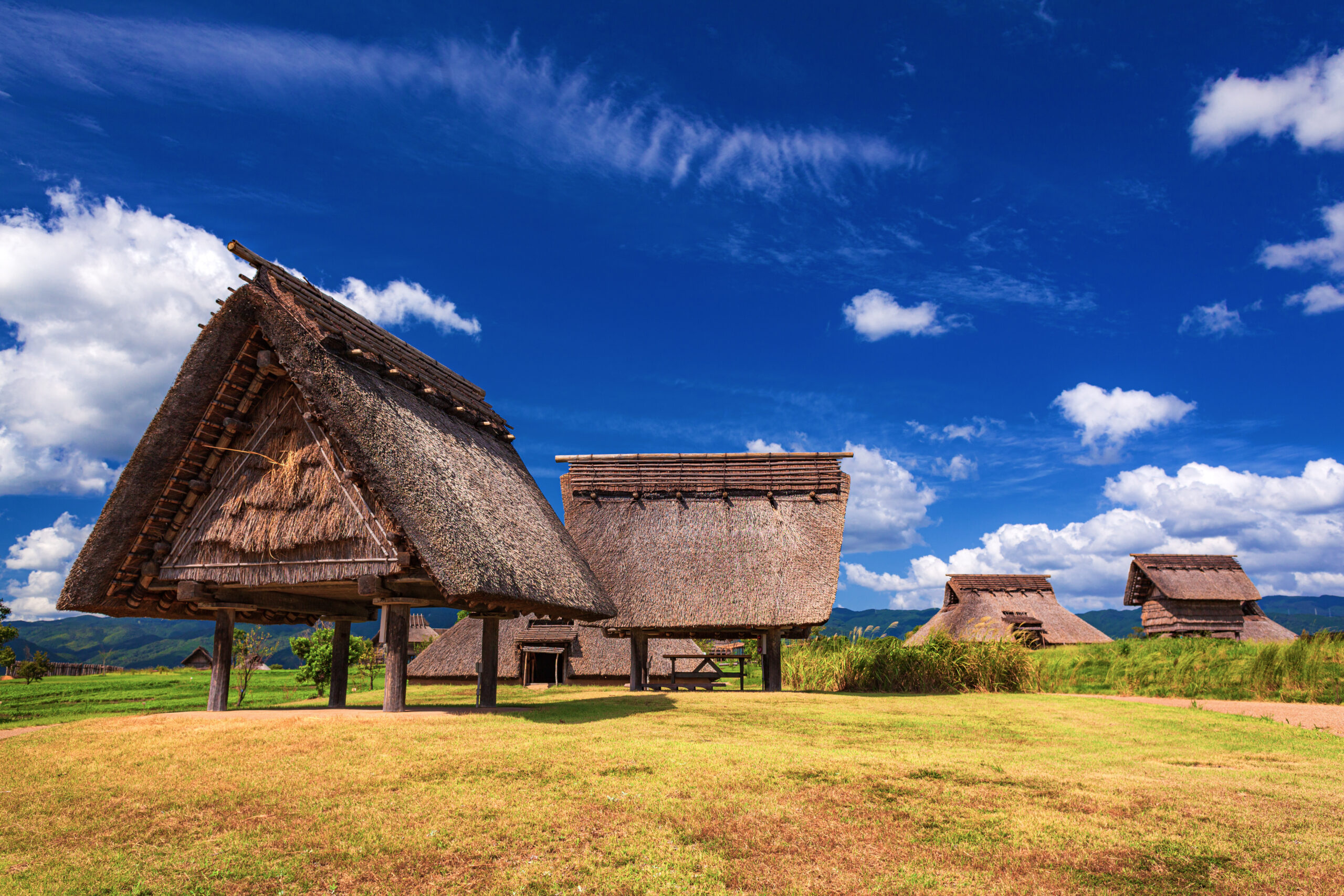 Traditional thatched-roof huts on stilts in a green field under a bright blue sky with scattered clouds, rural village scene.