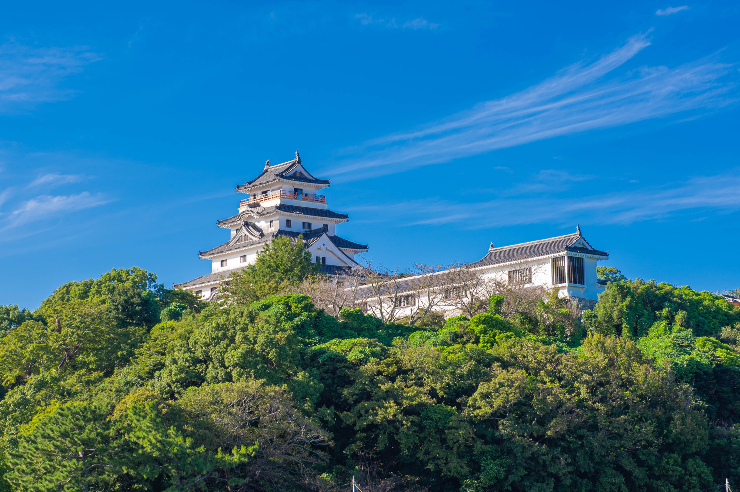 White multi-story Japanese castle on a hill, surrounded by green trees under a bright blue sky with wispy clouds.