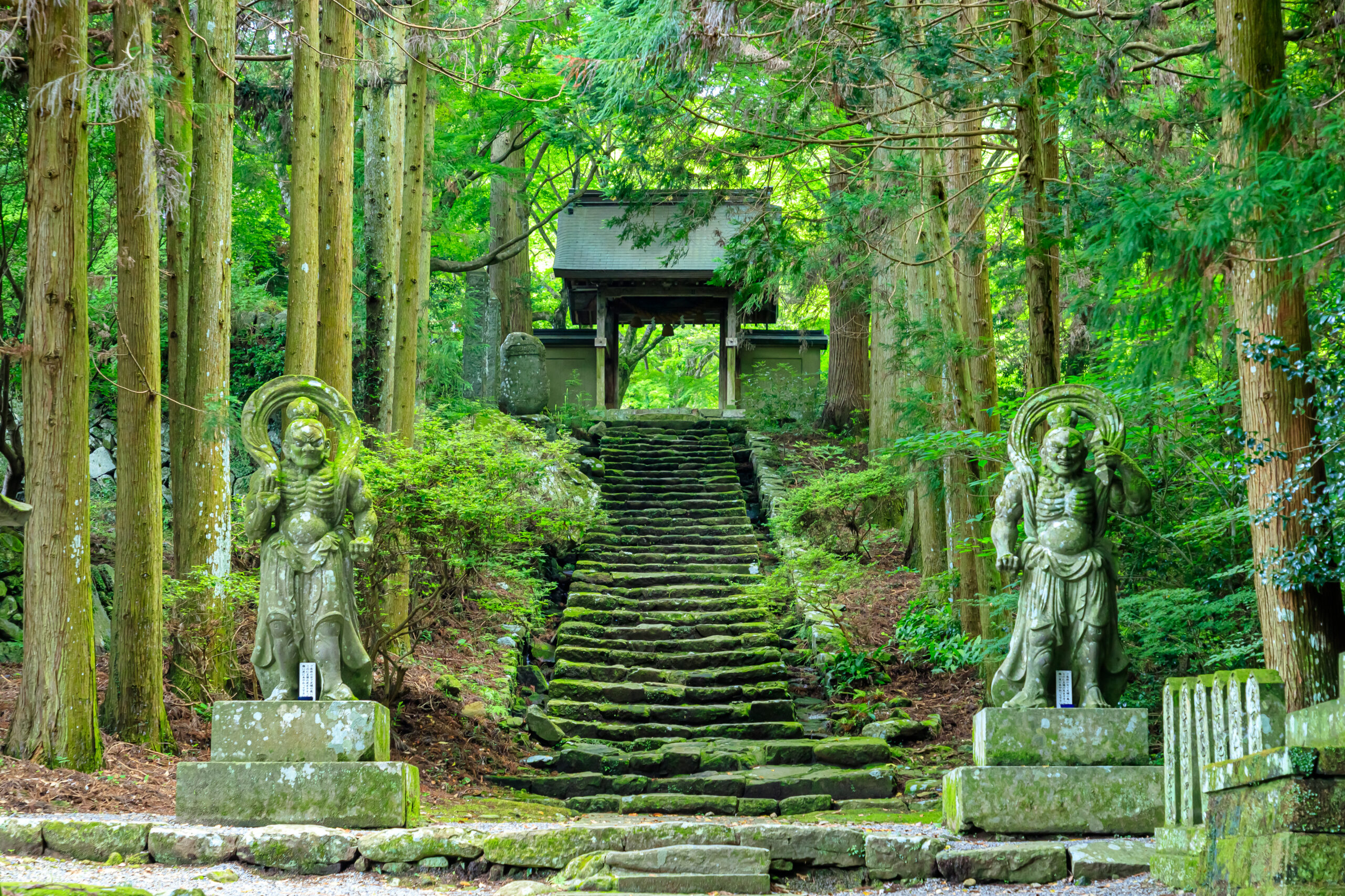 Stone steps climb through a mossy forest toward a small shrine gate, flanked by two carved guardian statues.