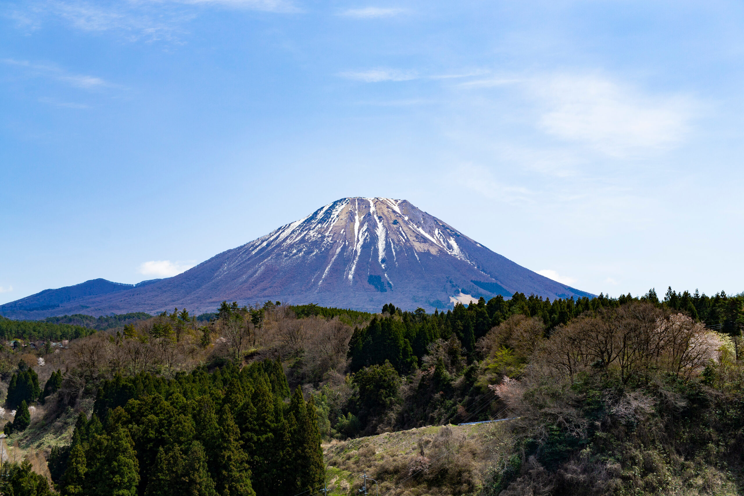 Snow‑capped mountain rising above a dense forest under a clear blue sky.