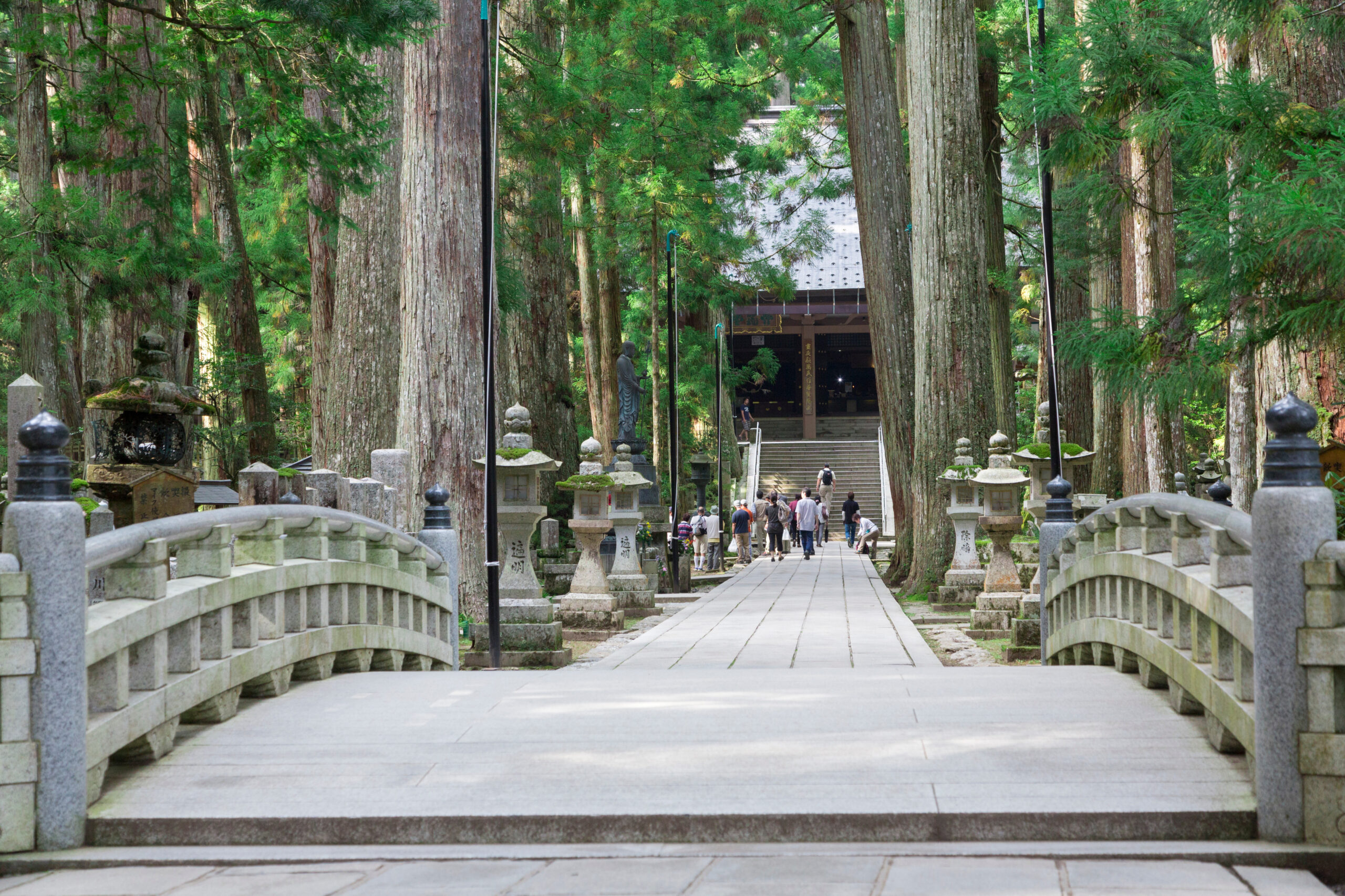 Forest temple path: stone walkway flanked by stone lanterns and railings, leading to a wooden shrine building in a dense cedar forest with visitors ahead