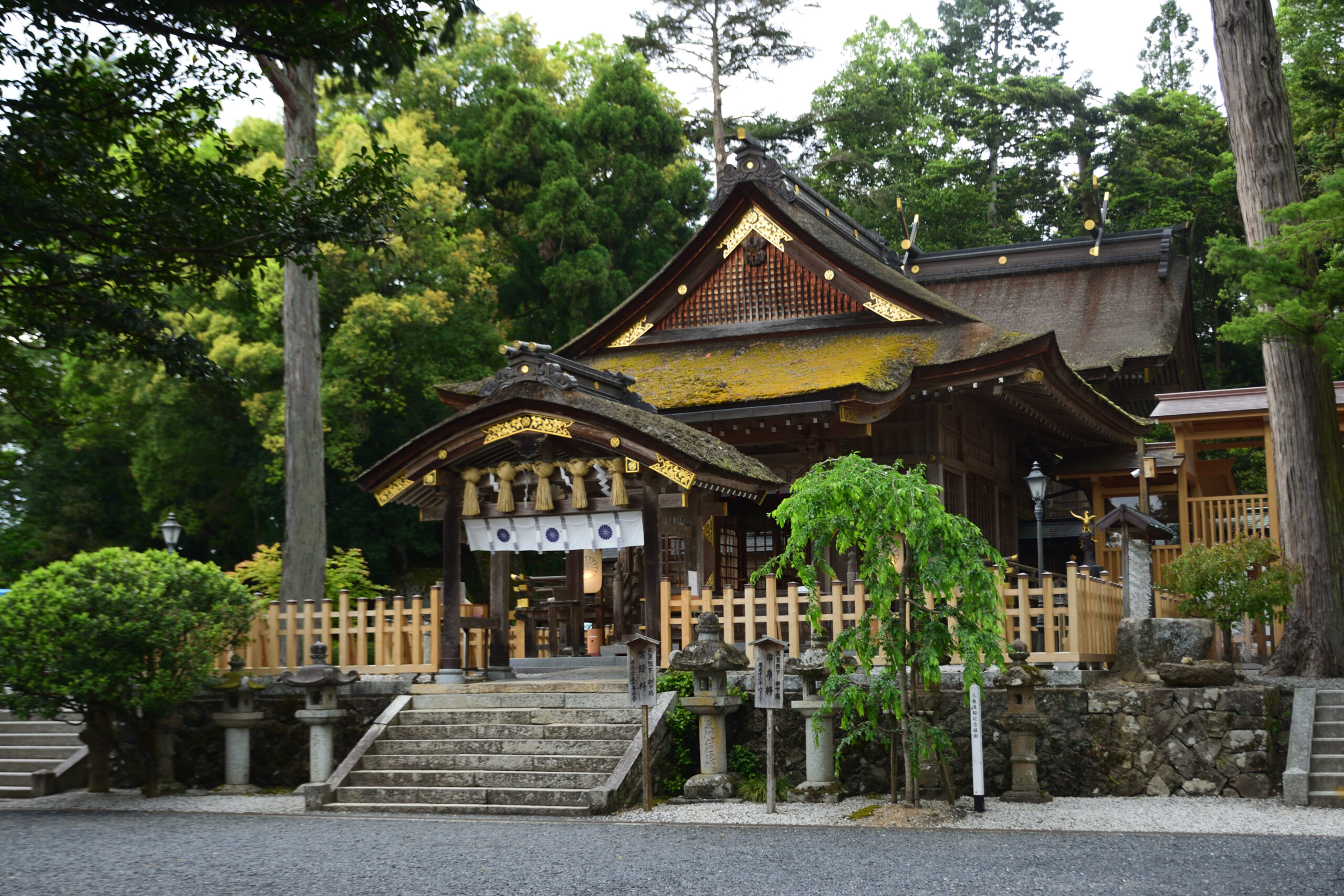 Traditional Japanese shrine with ornate wooden roof, surrounded by trees and mossy eaves.