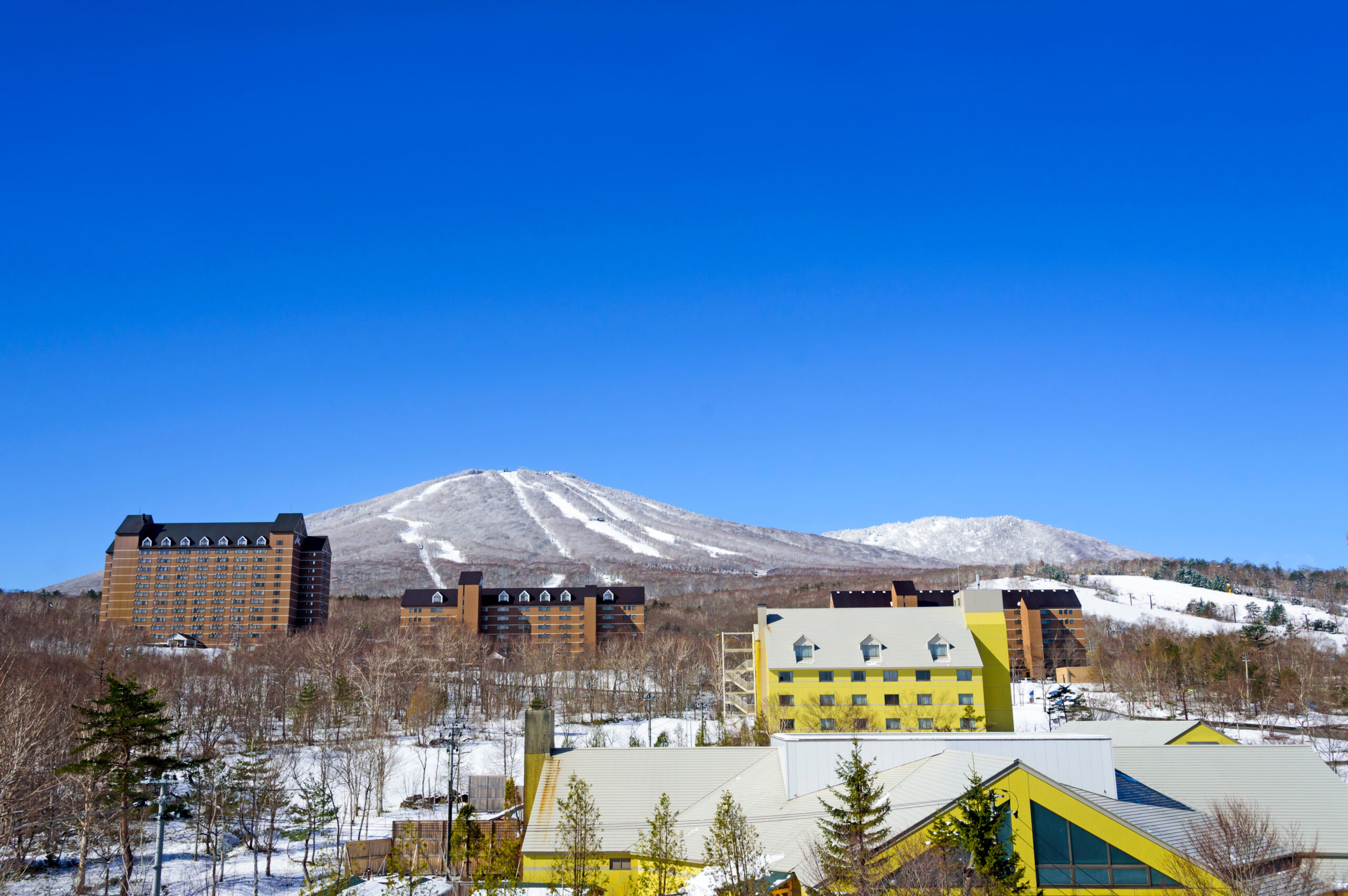 Snowy hillside with ski runs behind a row of brown and yellow apartment buildings under a bright blue sky, with leafless trees in the foreground.