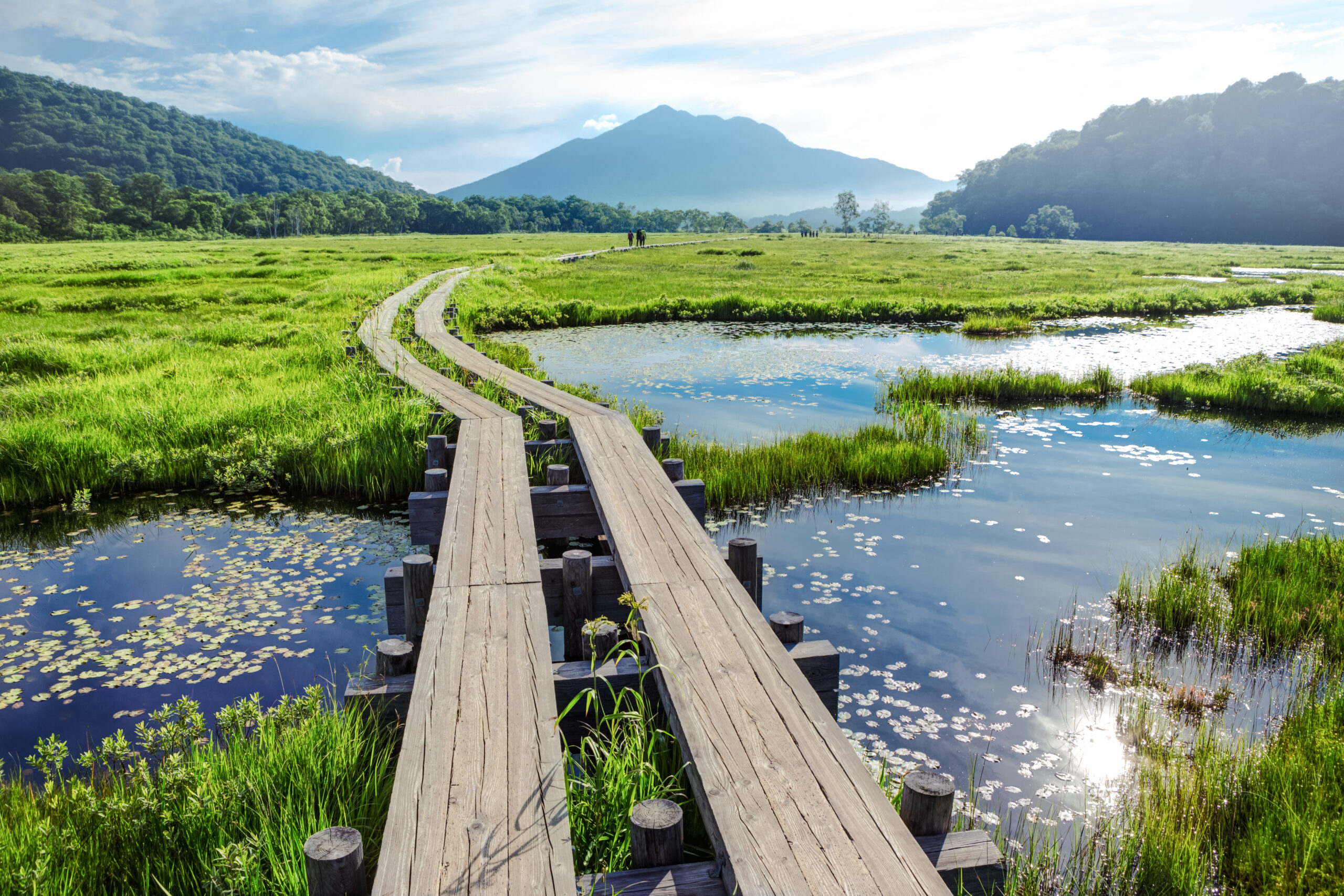 Wooden boardwalk winds through a marshy green field toward distant mountains under a blue sky with a few hikers in the distance.