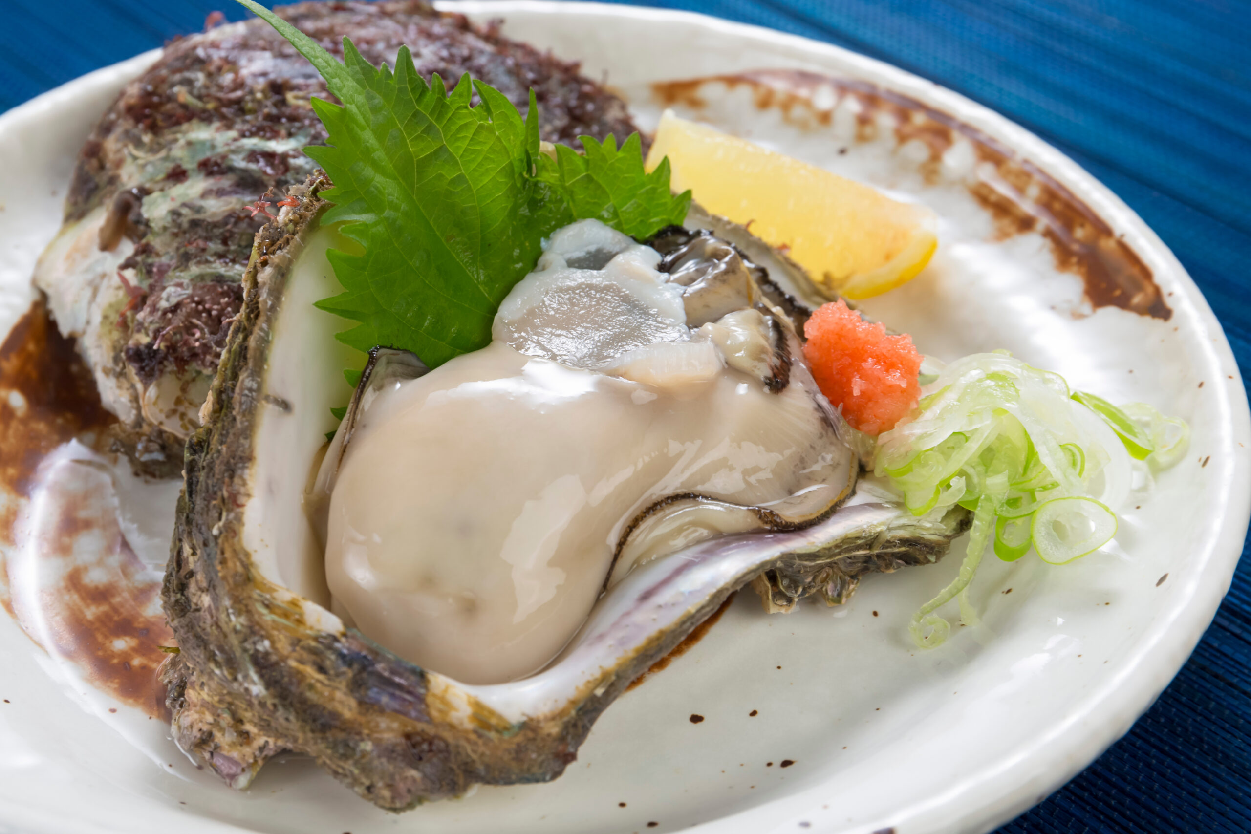 Oyster on a half shell with a green herb leaf, lemon slice, and shredded green onions as garnish on a plate.