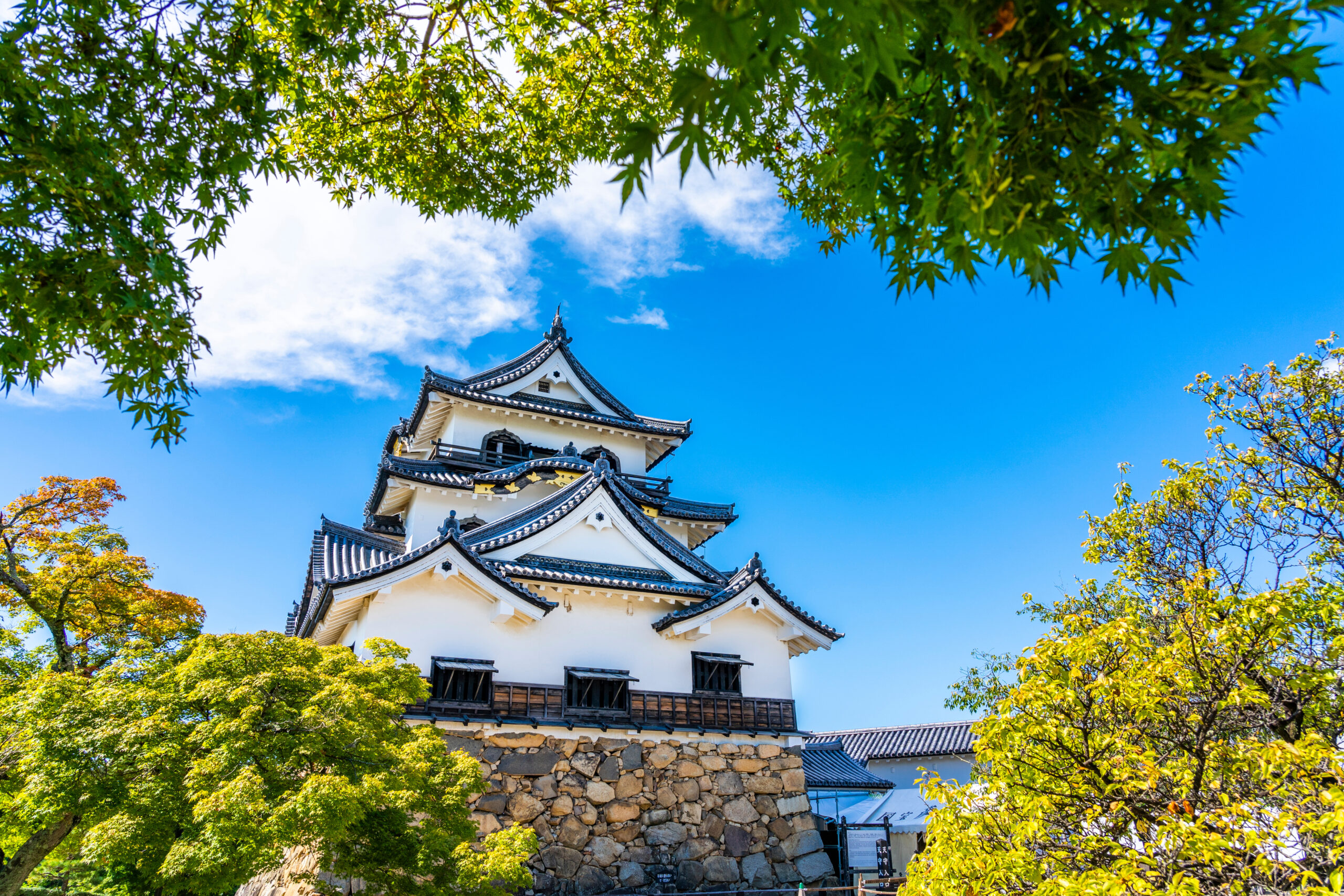 Traditional white Japanese castle tower with black-tiled roofs framed by green trees against a bright blue sky.