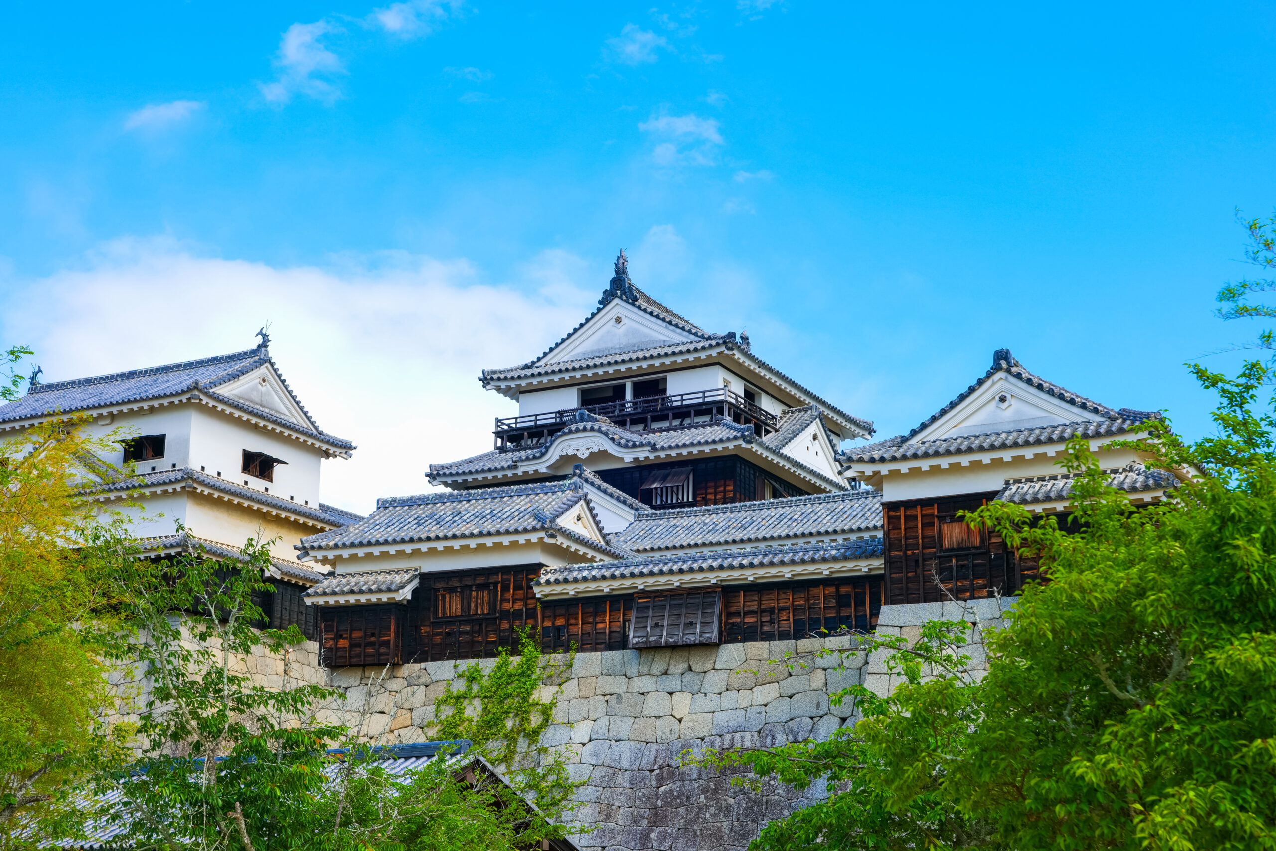 Traditional East Asian castle buildings with curved tiled roofs atop a stone retaining wall, under a clear blue sky, framed by green trees.
