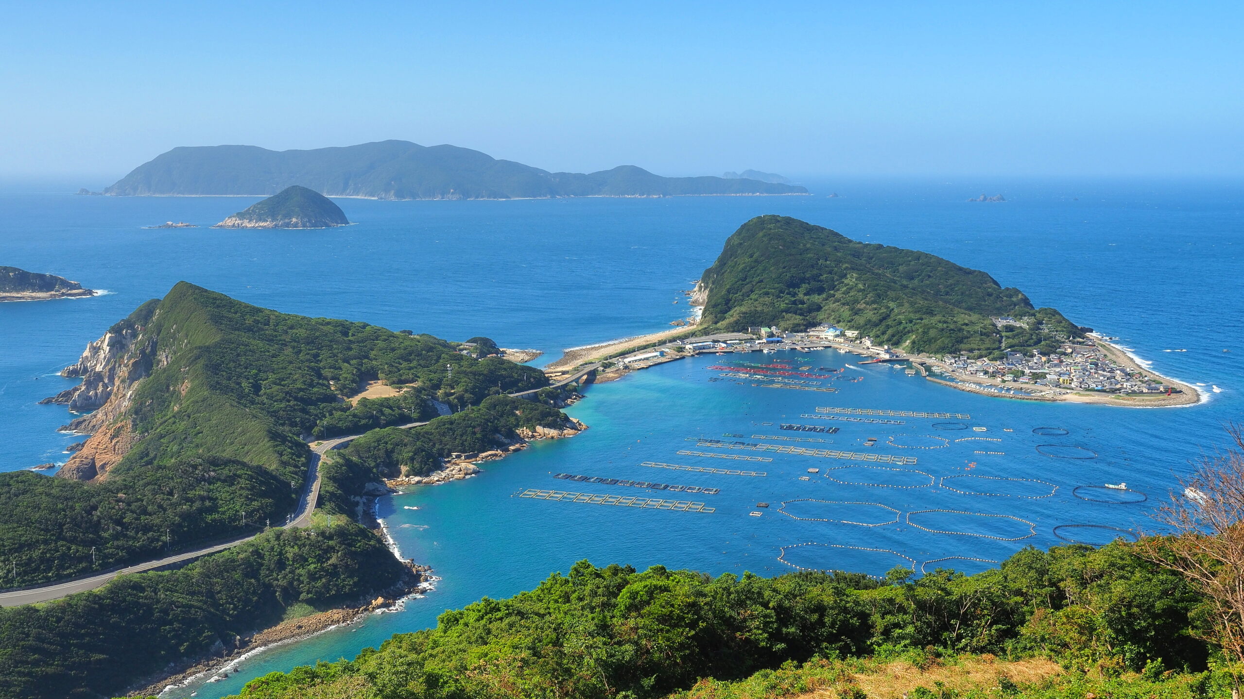 Aerial view of a coastal island with green hills, a small harbor, and turquoise water dotted with marina pens.