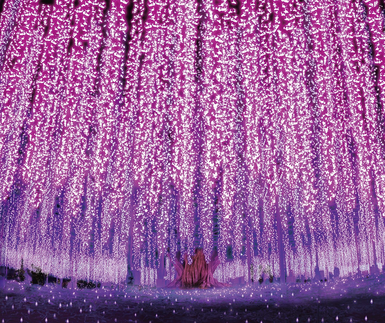 Tree surrounded by hundreds of purple hanging lights creating a magical glow.