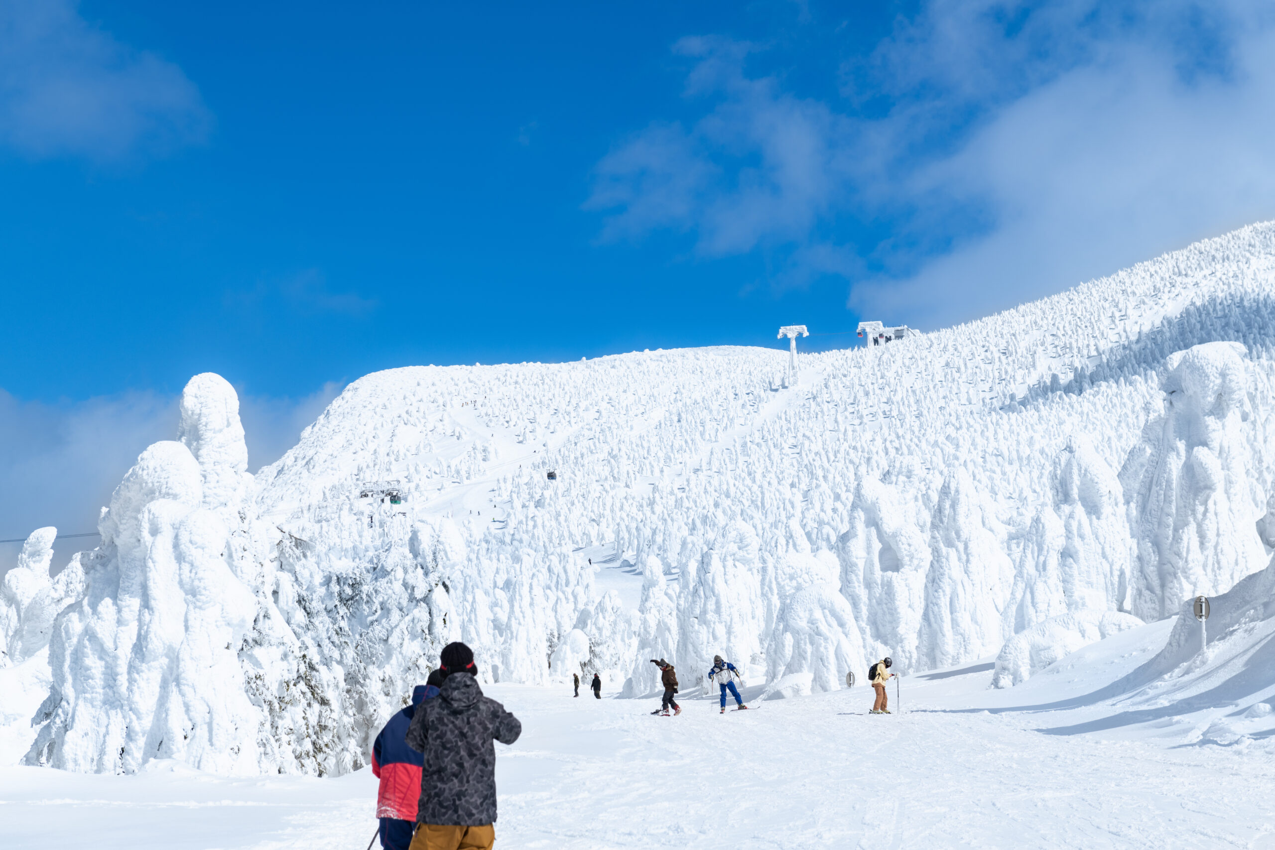Snowy alpine slope with skiers and snowboarders among frosted trees under a clear blue sky.
