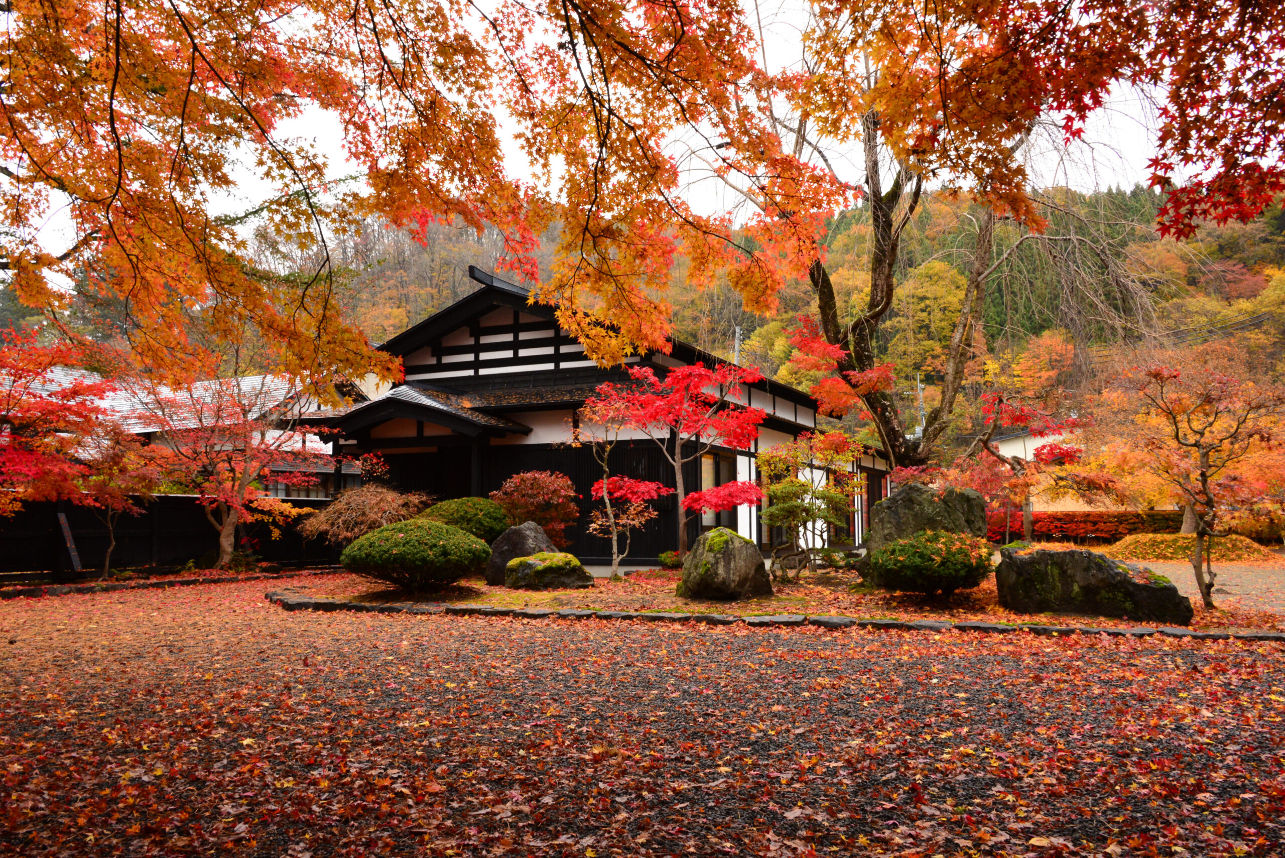 Autumn Japanese garden with vibrant red and orange maple leaves around a traditional building.