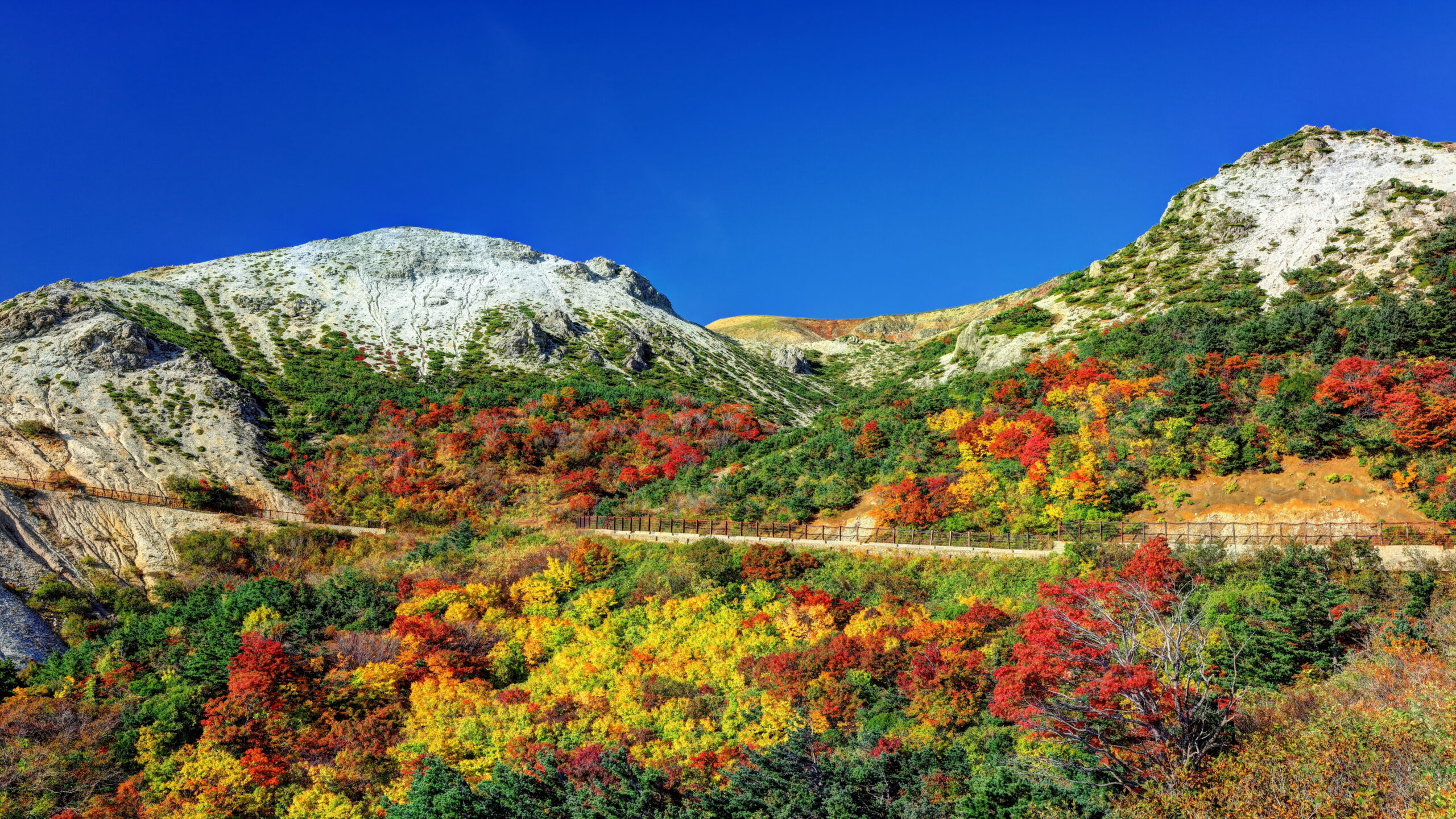 Panoramic view of forested mountains in autumn with red, orange, and yellow foliage under a clear blue sky; a wooden railing runs along the hillside.