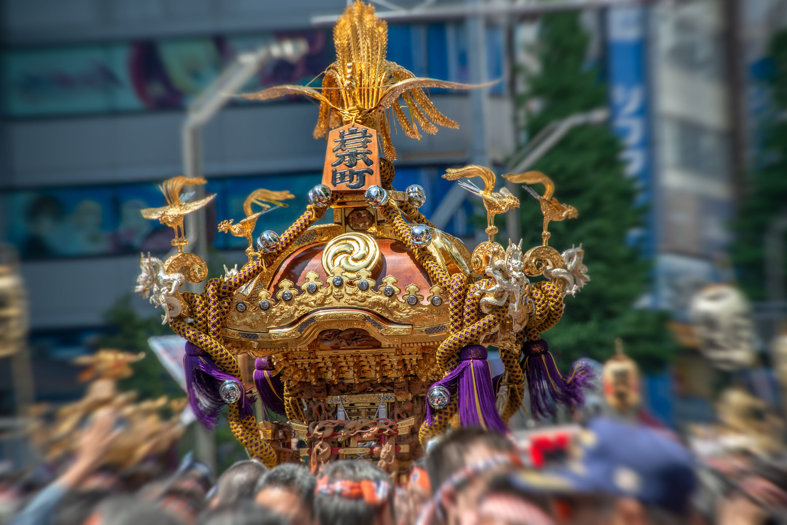 Ornate gold festival mikoshi with purple tassels, surrounded by a blurred crowd in motion.