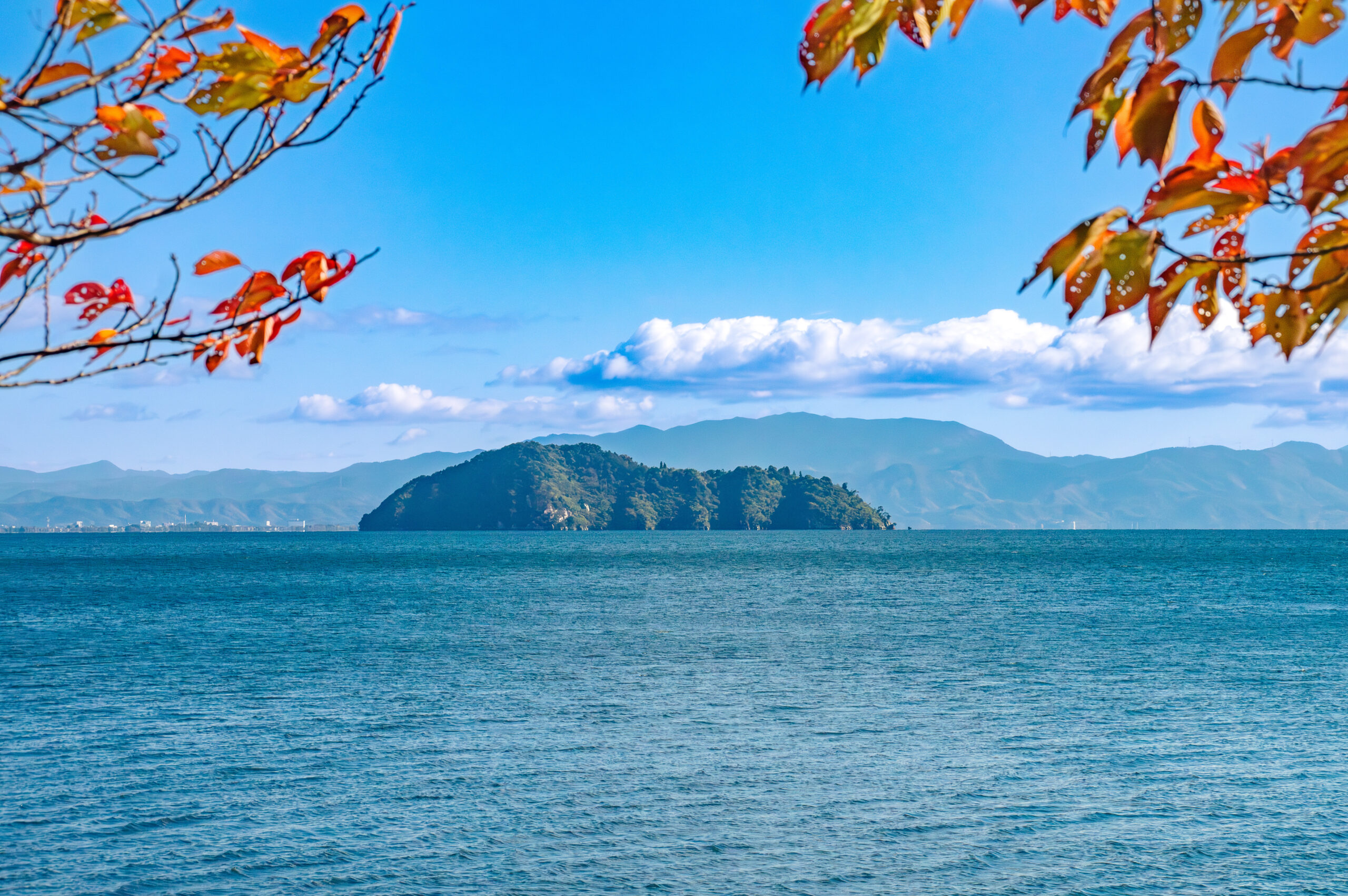 Branches with orange autumn leaves frame a blue ocean and distant misty mountains under a clear sky