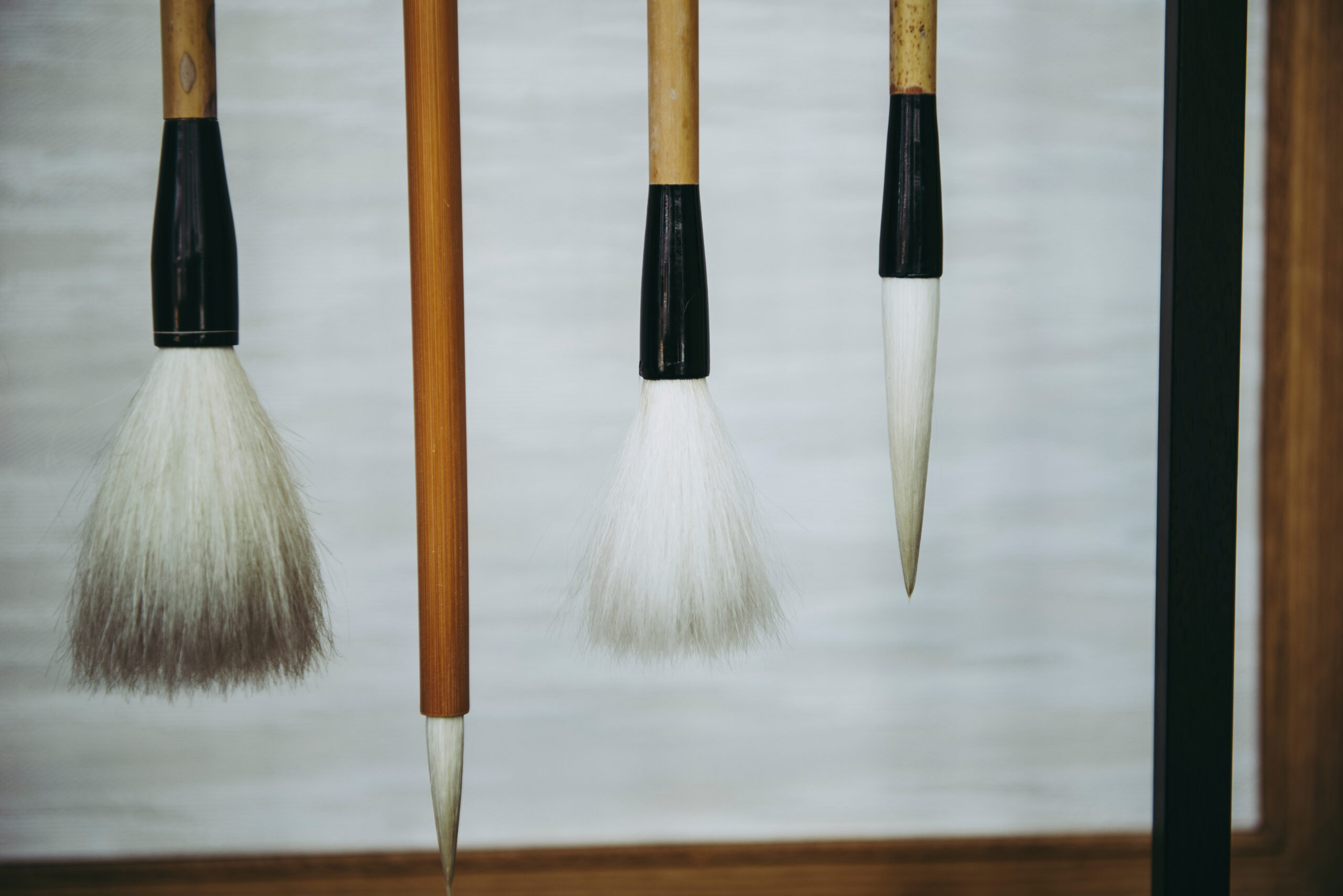 Row of five paintbrushes with wooden handles and white bristles hanging vertically.