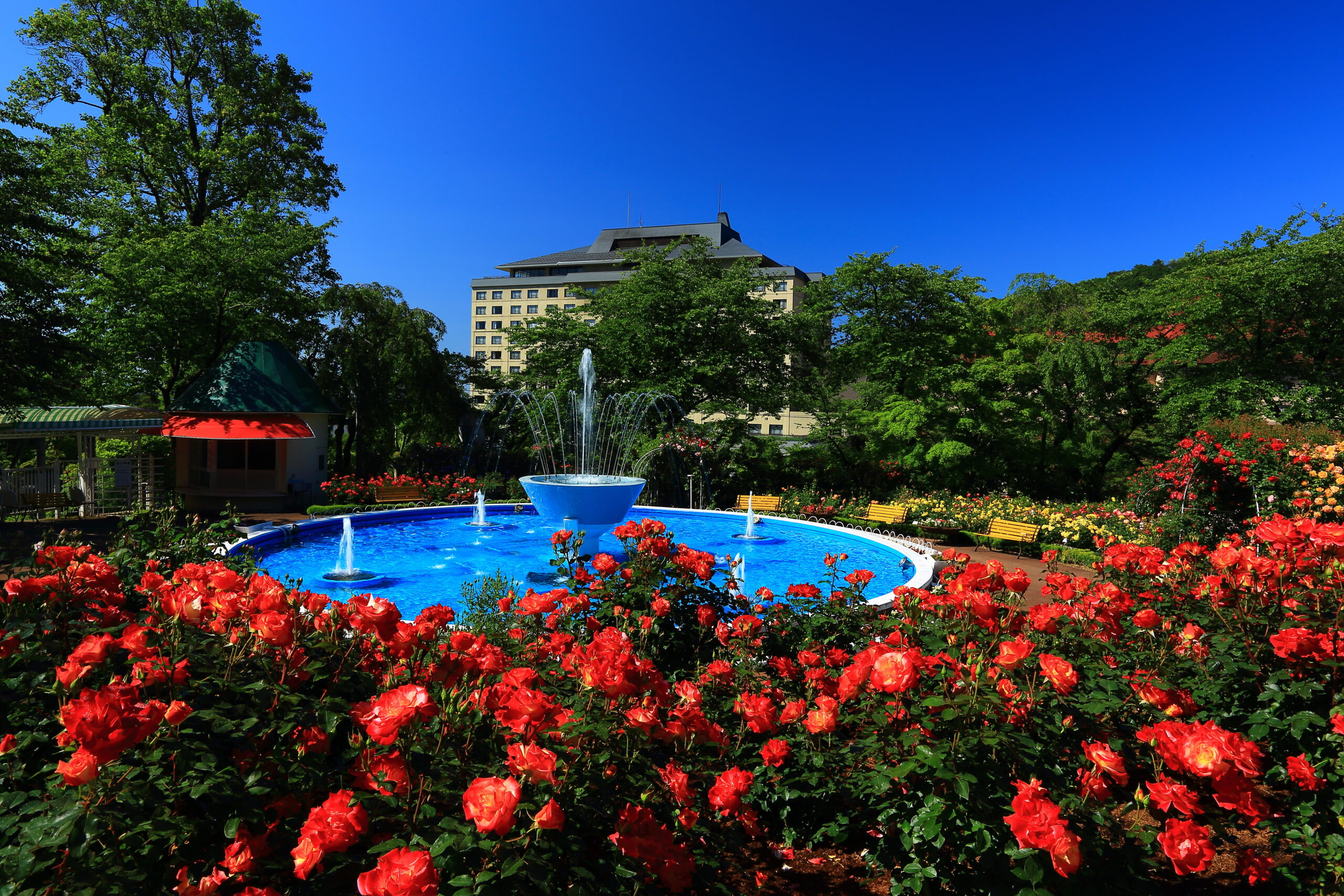 Blue fountain in a circular pool surrounded by vibrant red roses, with a backdrop of trees and a beige building under a clear blue sky.