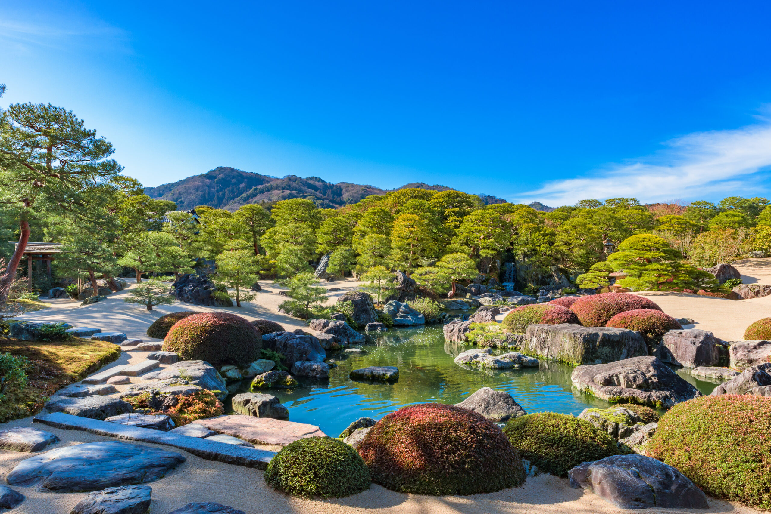 Japanese-style garden with trimmed shrubs, rocks, and a calm pond under a bright blue sky.