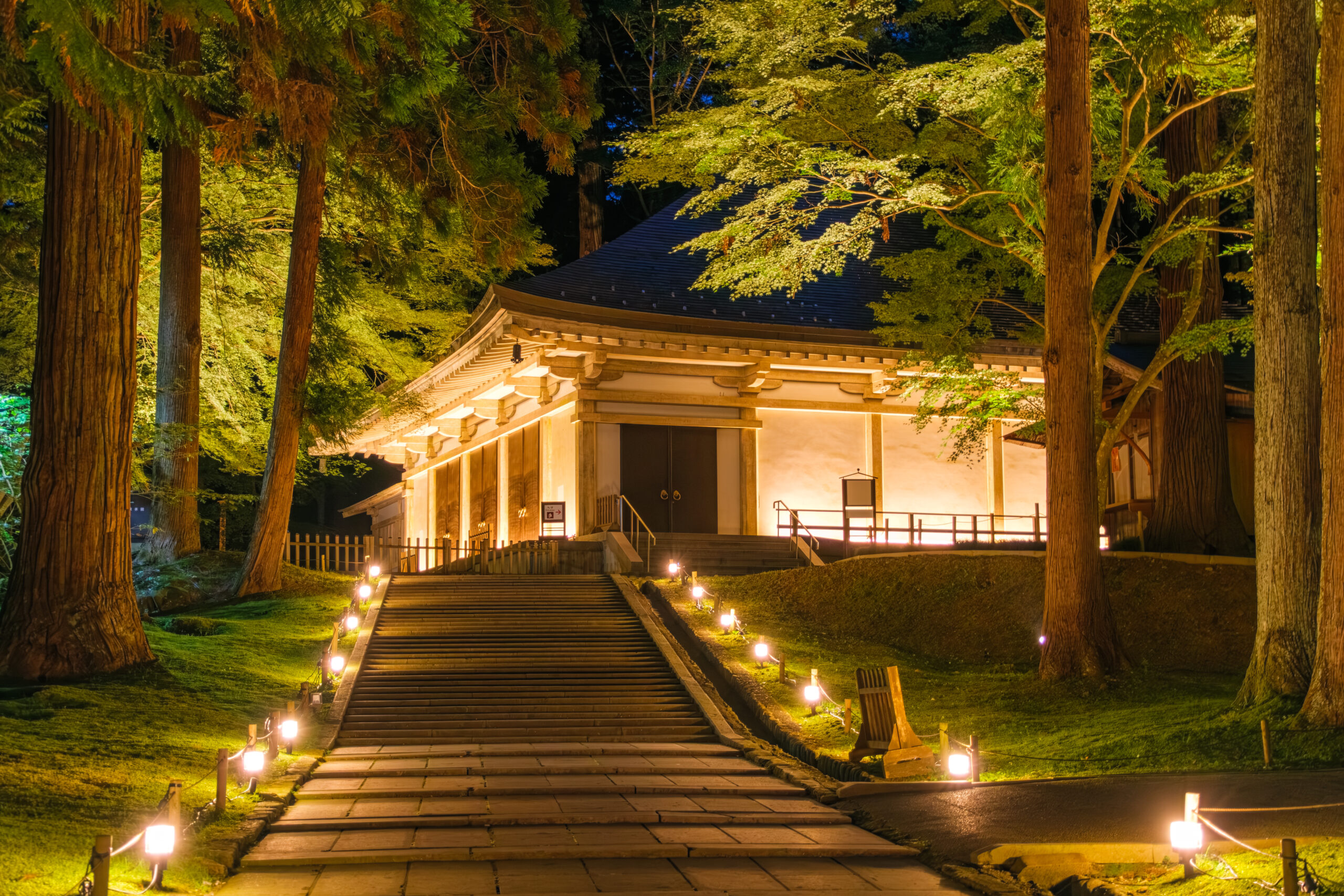 Night view of a traditional temple building framed by tall trees, illuminated steps leading to the entrance.