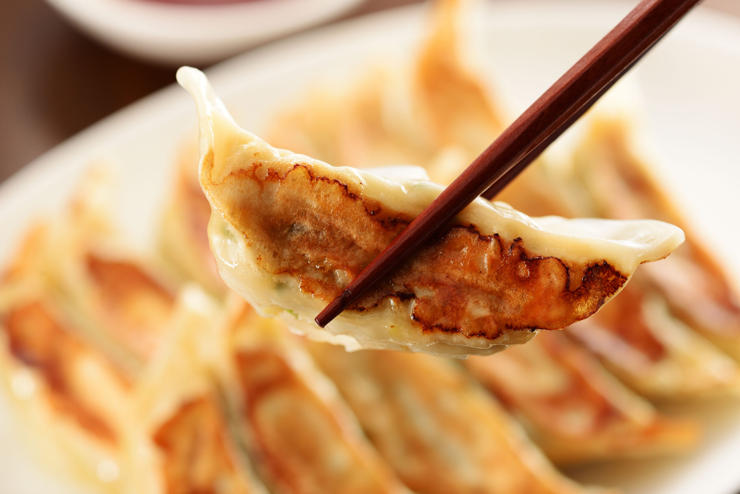 Close-up of a crispy pan-fried dumpling held by chopsticks over a plate of dumplings
