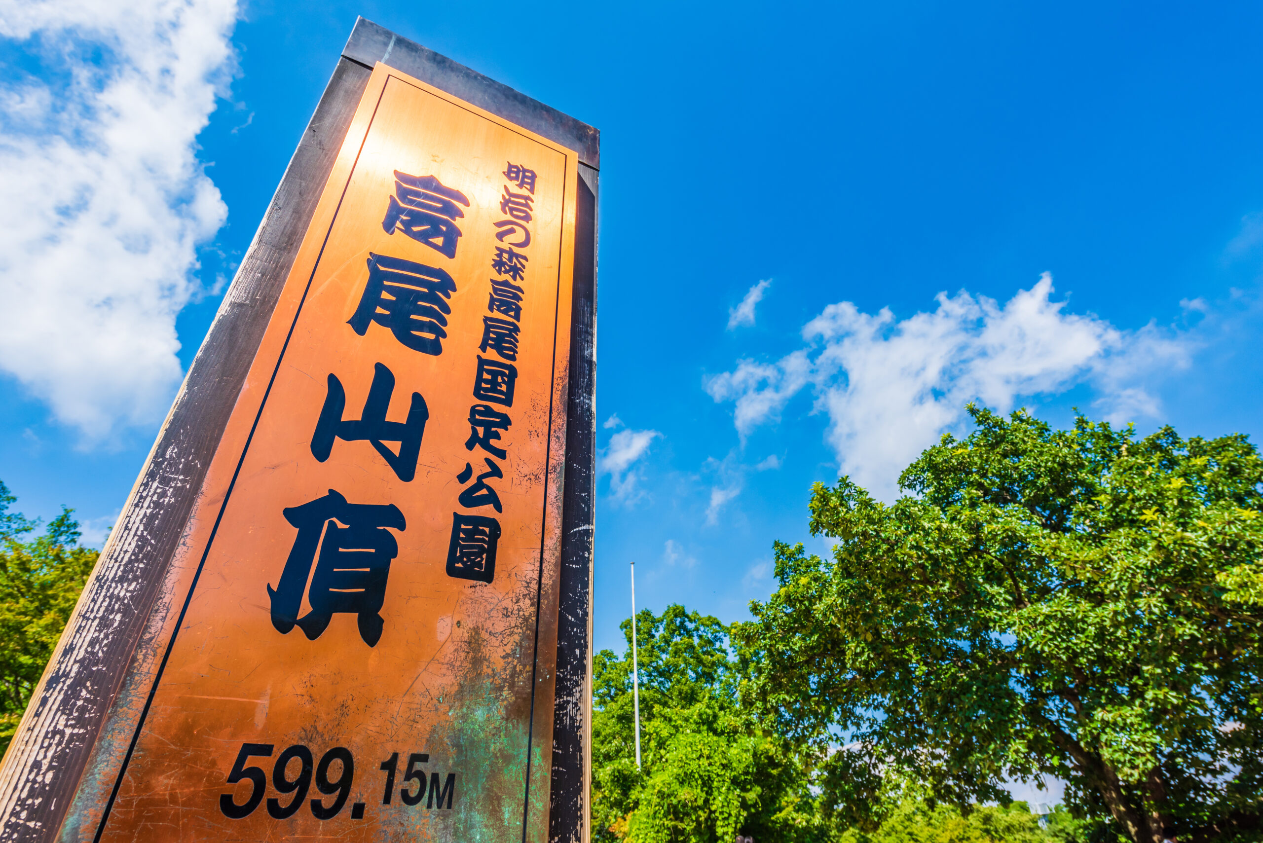 Vertical wooden sign with an orange panel and bold black Asian characters, tilted to the left against a bright blue sky and green trees in the background.