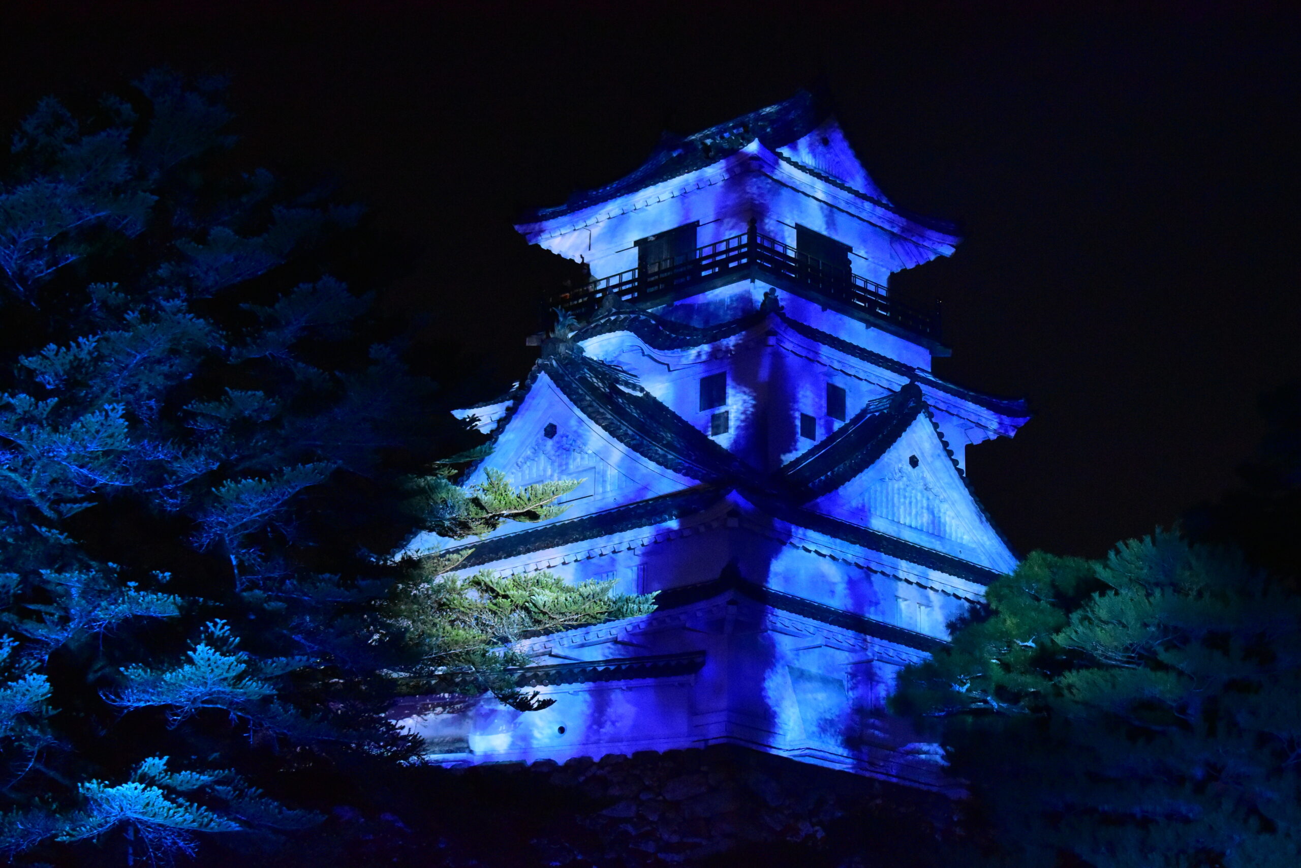 Blue-lit multi-tiered pagoda at night, surrounded by dark trees.