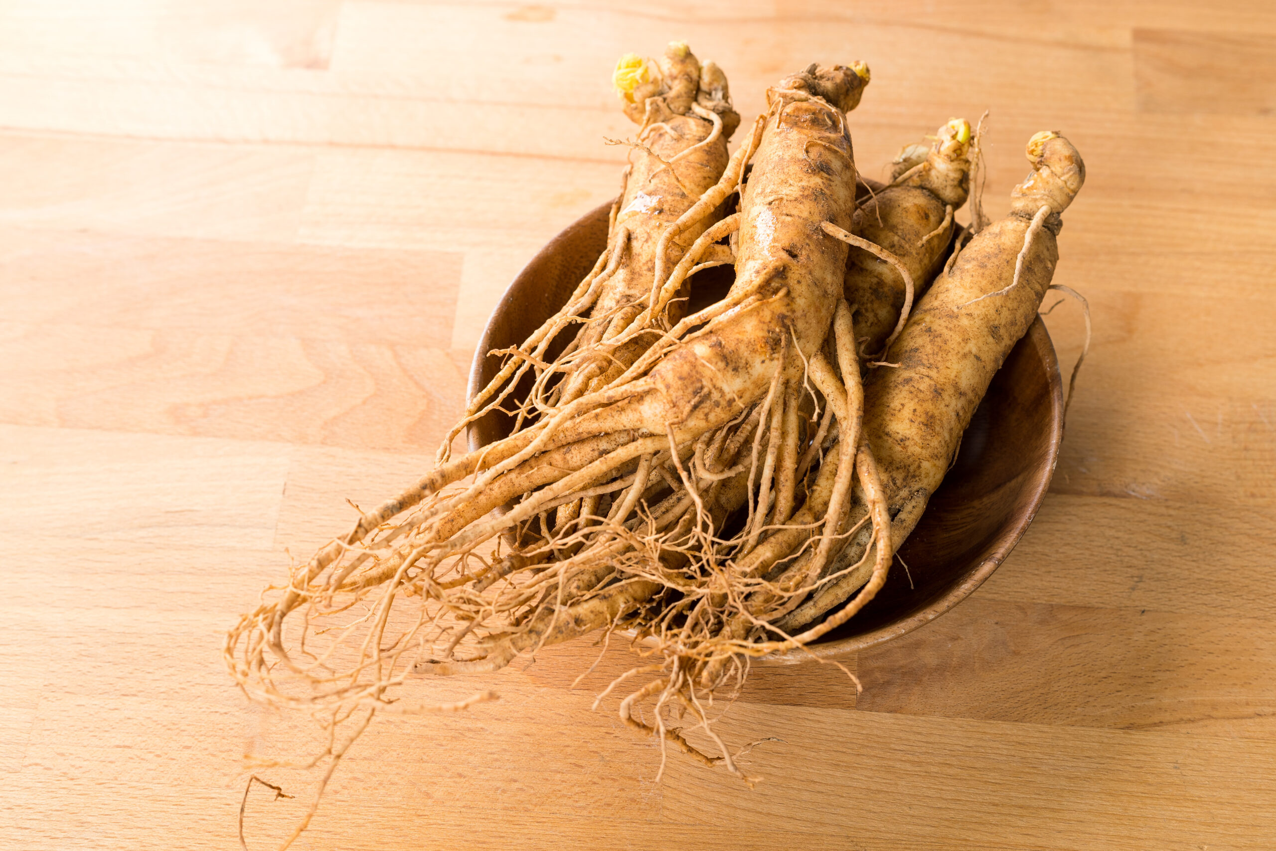Bundle of fresh ginseng roots in a brown bowl on a wooden table