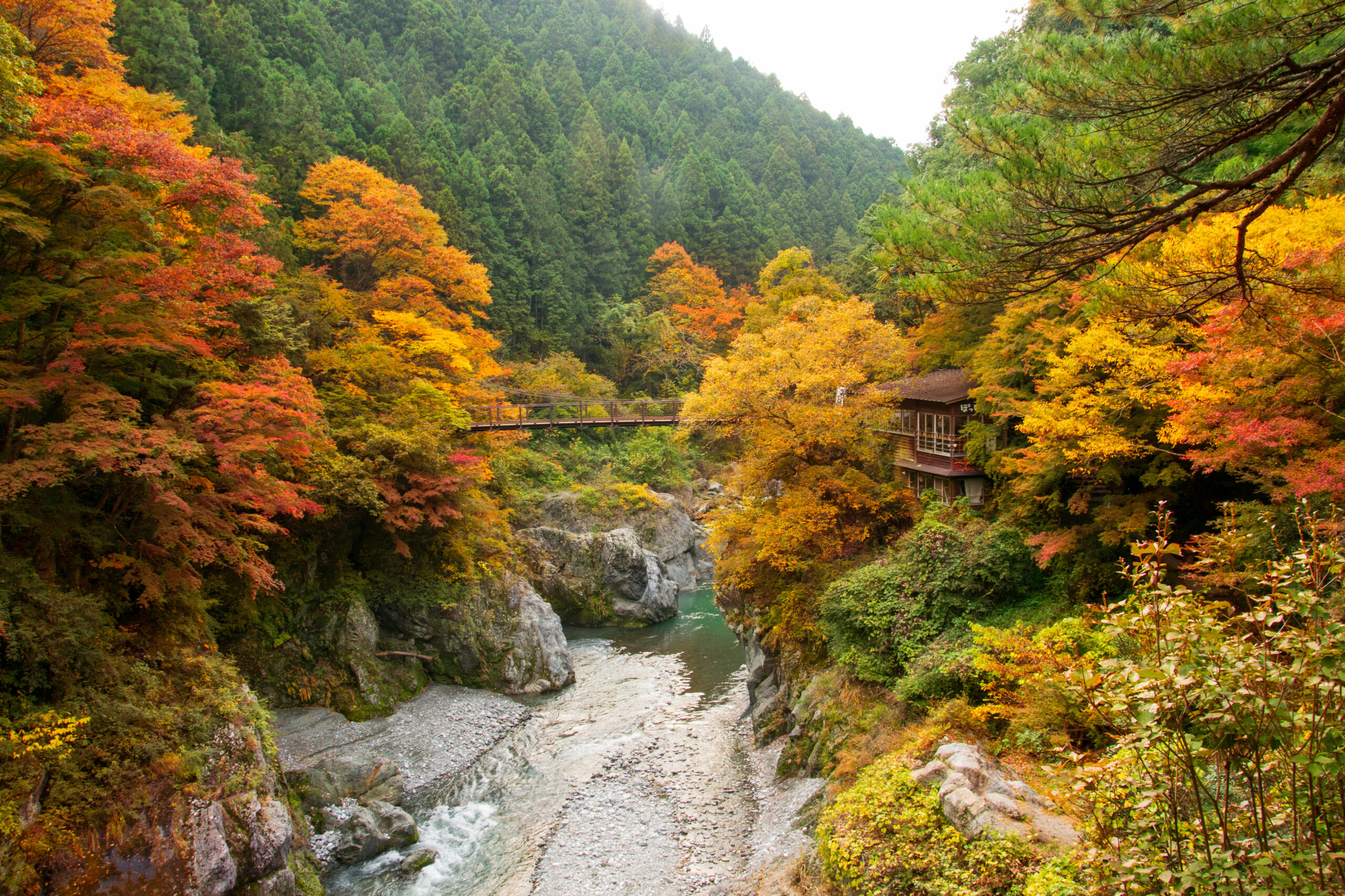 Autumn forest along a rocky river valley with a wooden bridge and a small building among colorful trees.