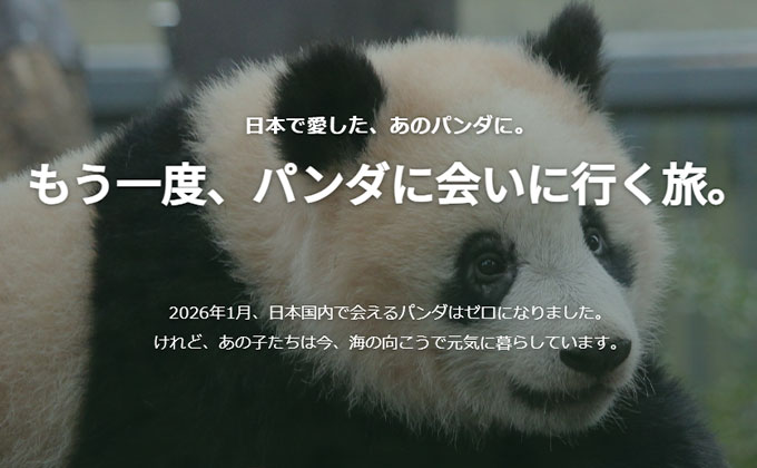日本で愛した、あのパンダに。もう一度会いに行く旅。