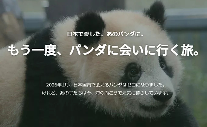 パンダツアー特集