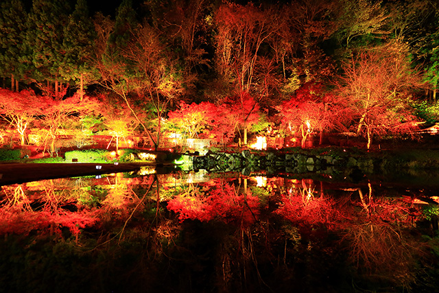 歴史公園えさし藤原の郷 紅葉ライトアップ（イメージ）