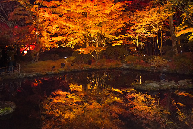 円通院 紅葉ライトアップ（イメージ）