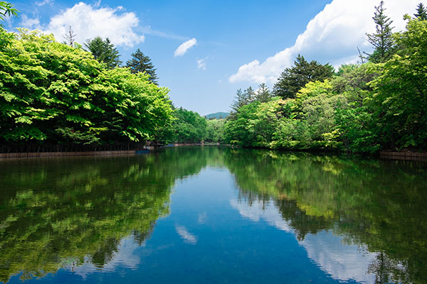 雲場池（イメージ）