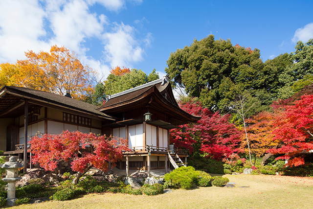大河内山荘庭園 紅葉(イメージ)