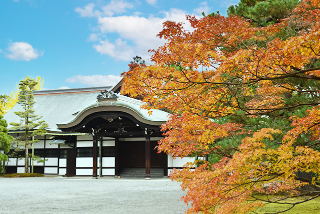 京都仙洞御所 紅葉(イメージ)