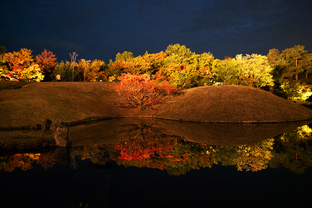 梅小路公園 朱雀の庭 紅葉(イメージ)