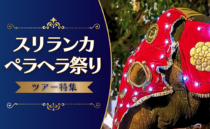ペラヘラ祭り_バナー