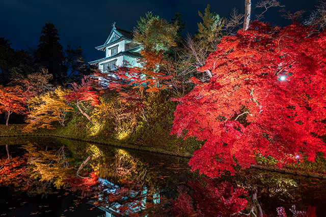 弘前公園 紅葉ライトアップ（イメージ）