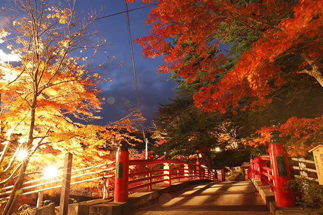 中野もみじ山 紅葉ライトアップ（イメージ）