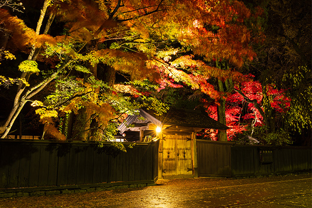 角館武家屋敷通り 紅葉ライトアップ（イメージ）
