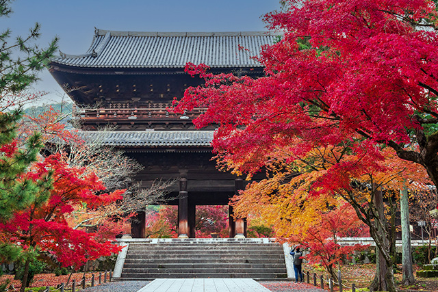 南禅寺 紅葉(イメージ)