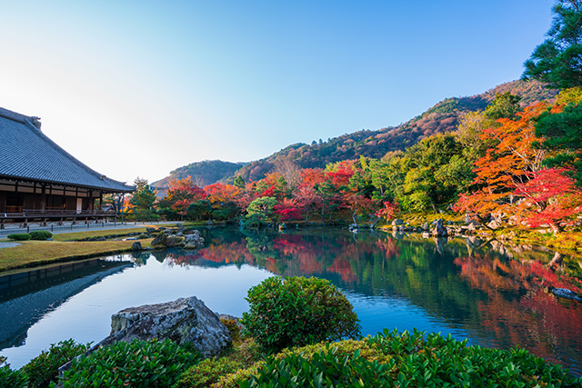 天龍寺 紅葉(イメージ)