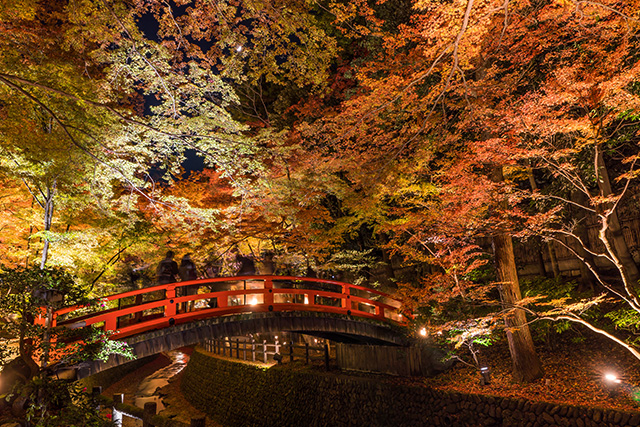 北野天満宮 紅葉(イメージ)