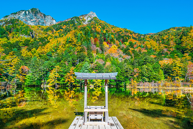 上高地 紅葉(イメージ)