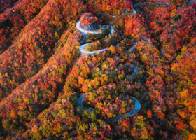 【2025年】日光で紅葉を満喫する完全ガイド〈名所・見頃・旅程プランなども紹介〉