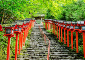 夏だからこそ行きたい！京都のおすすめ観光スポット14選〈2024年最新〉