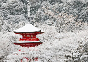 冬景色が楽しめる！京都のおすすめ観光スポット10選〈2025年最新〉