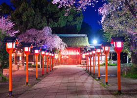 【京都】夜桜ライトアップが楽しめるおすすめスポット7選〈2026年最新〉