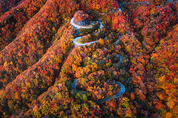 【2025年】日光で紅葉を満喫する完全ガイド〈名所・見頃・旅程プランなども紹介〉