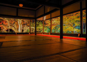 【関西エリア】幻想的な紅葉ライトアップスポット〈2025年最新・見頃やアクセス情報なども紹介〉