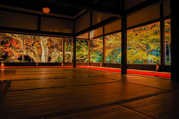 【関西エリア】幻想的な紅葉ライトアップスポット〈2025年最新・見頃やアクセス情報なども紹介〉